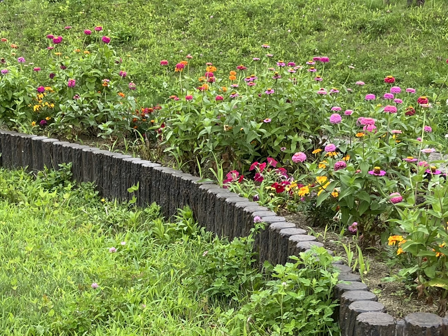 ▲ 他の公園にはあまり見られなかった花壇がとても綺麗に整備されている