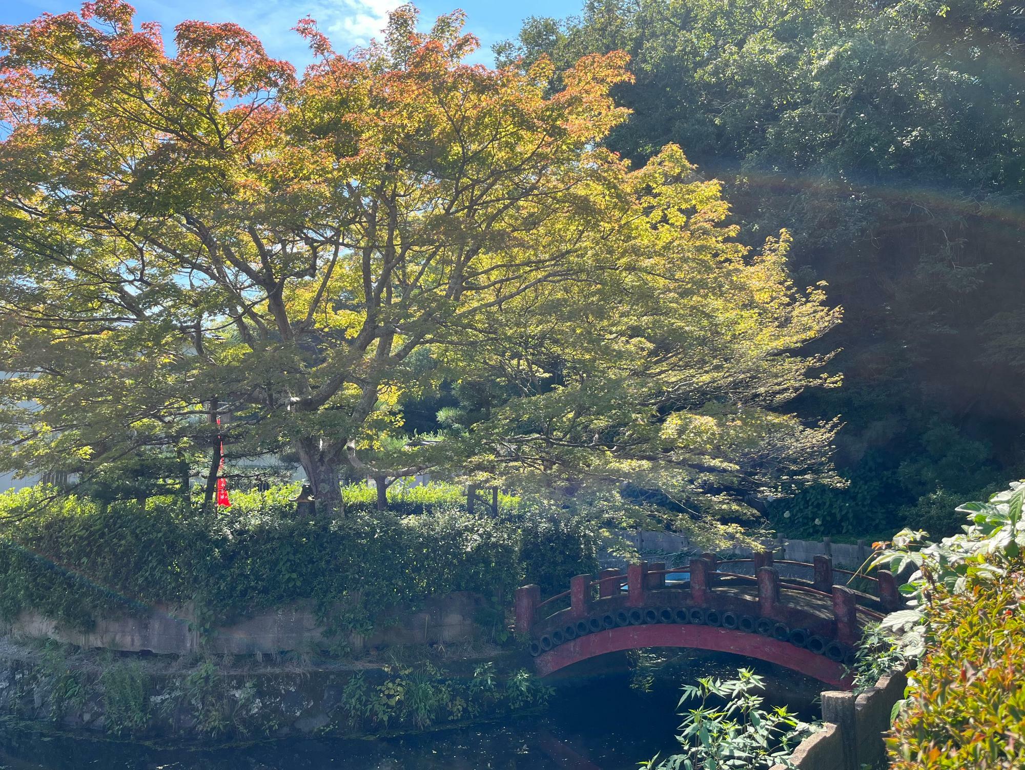 ▲ 赤い橋の場所には現在立ち入りが出来ないので柵の外からの見学。距離がある方が非常に良い風貌。筆者自身もそうだ。