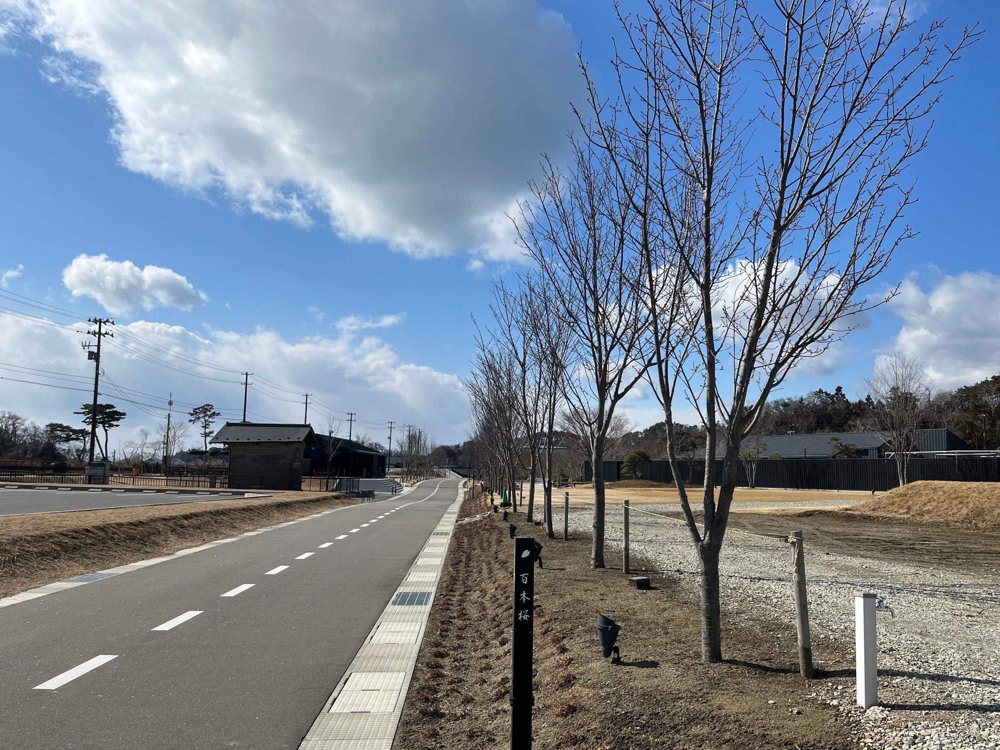 ▲ 写真向かって左奥「のびる（ノ）茶屋」、右奥「奥松島クラブハウスの建物」