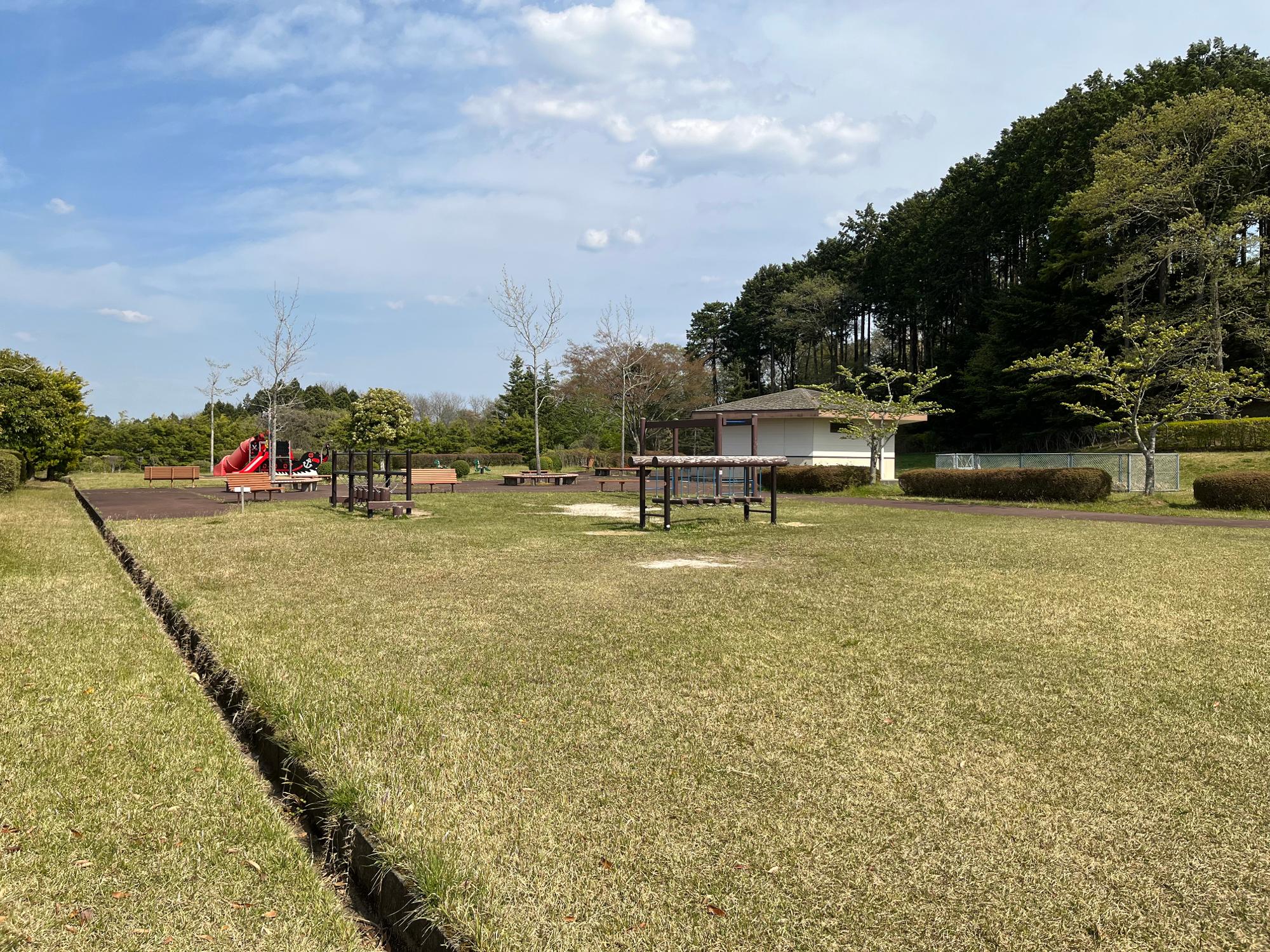 【宮城県 東松島市】遊園地よりも大迫力！ローラーすべり台 [鷹来の森運動公園] （Molly Chiba） エキスパート Yahoo!ニュース