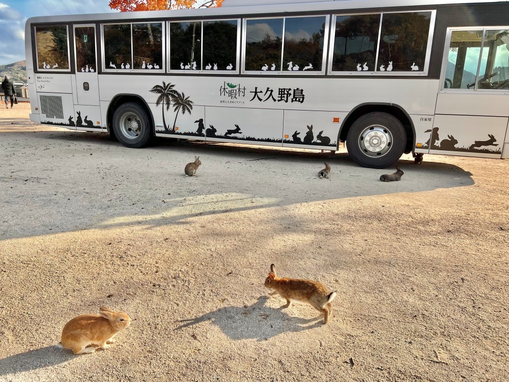 「休暇村　大久野島」と大久野島港を行き来している無料バス