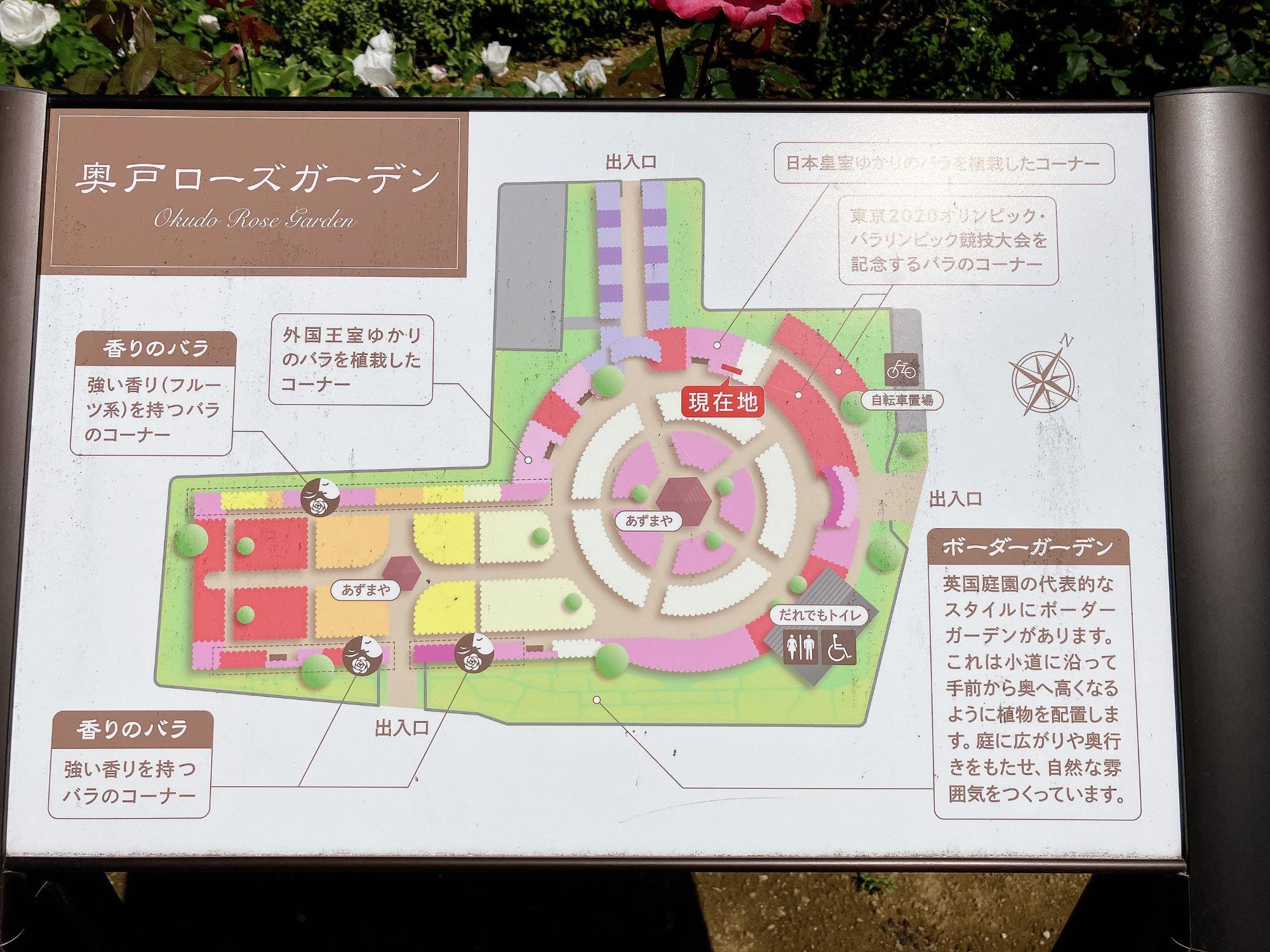 葛飾区】GWは優雅な香りに包まれるローズガーデンへ