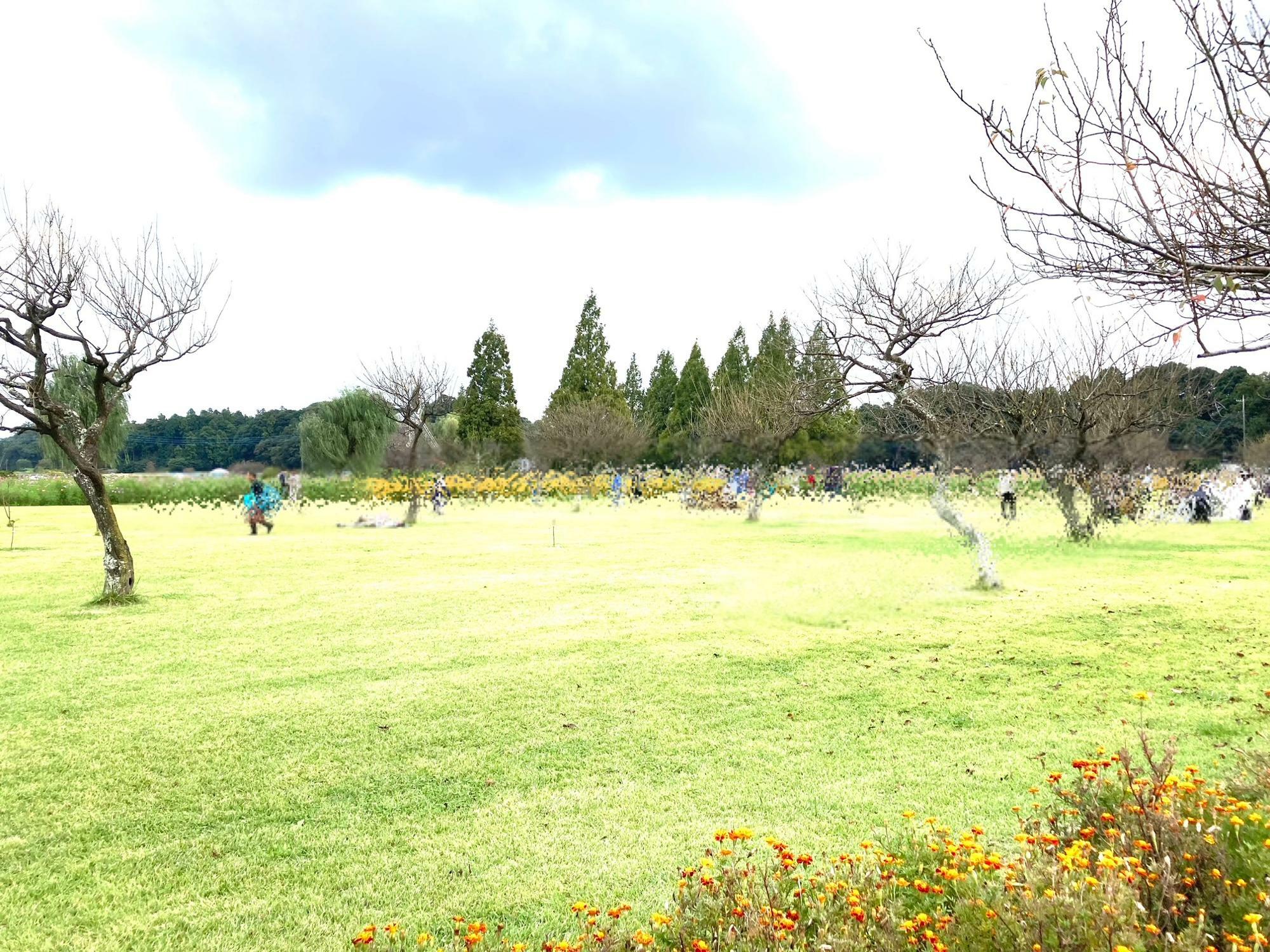 あけぼの山農業公園の芝生広場