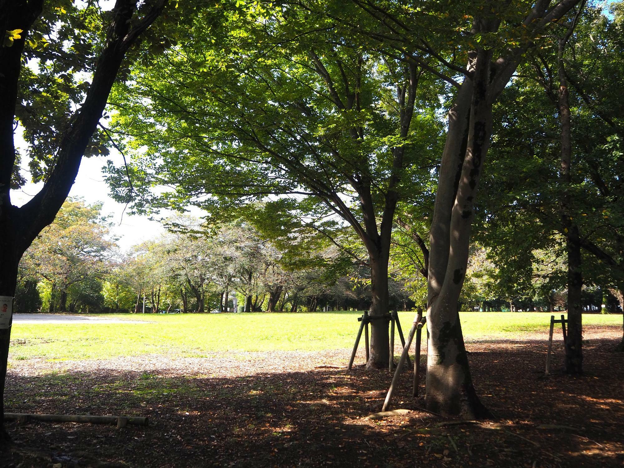 「柏ビレジオクトーバーフェスト」を開催する柏ビレジ近隣公園