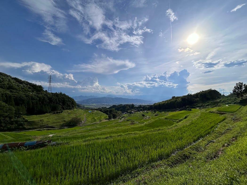 日暮れ時の棚田風景