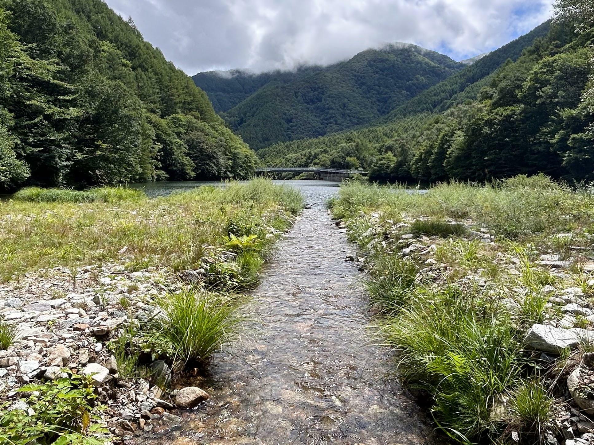 時期によっては涸れてしまう　ダムに流れ込む小さな流れ