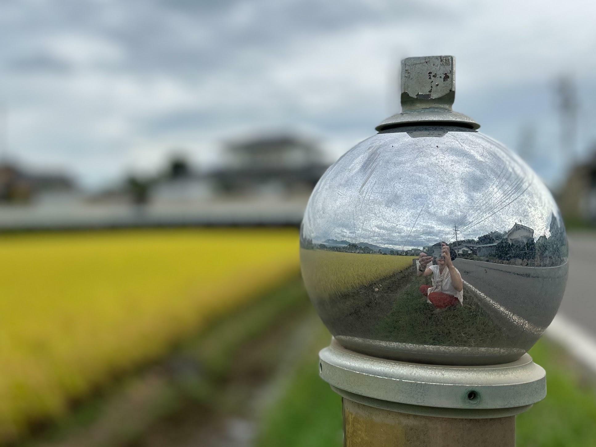 目の世界に広がる金色の海