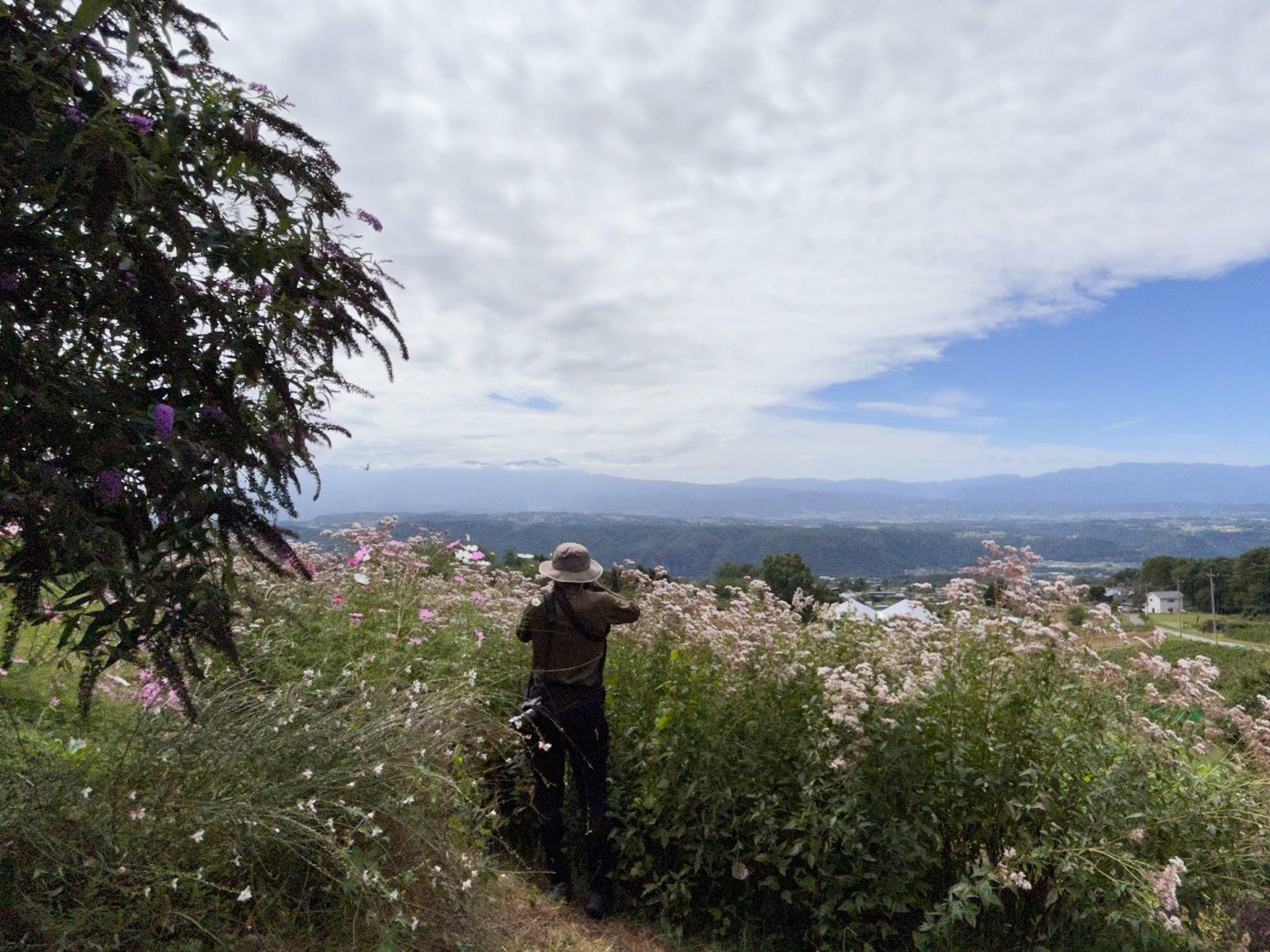 写真撮影をする人も多い