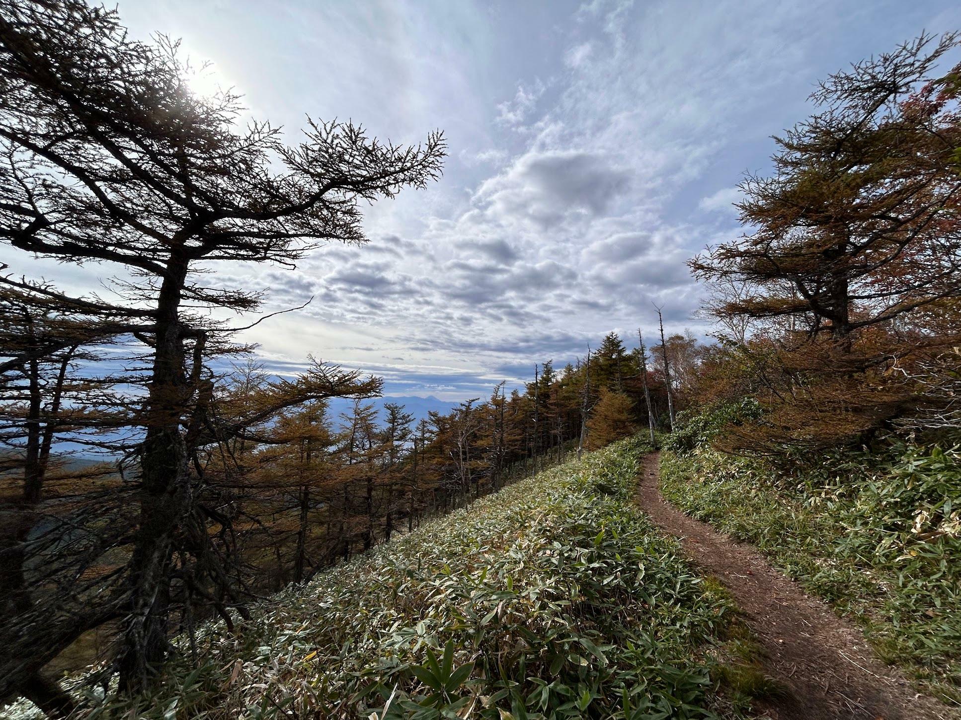 見晴らしがよく平らな登山道