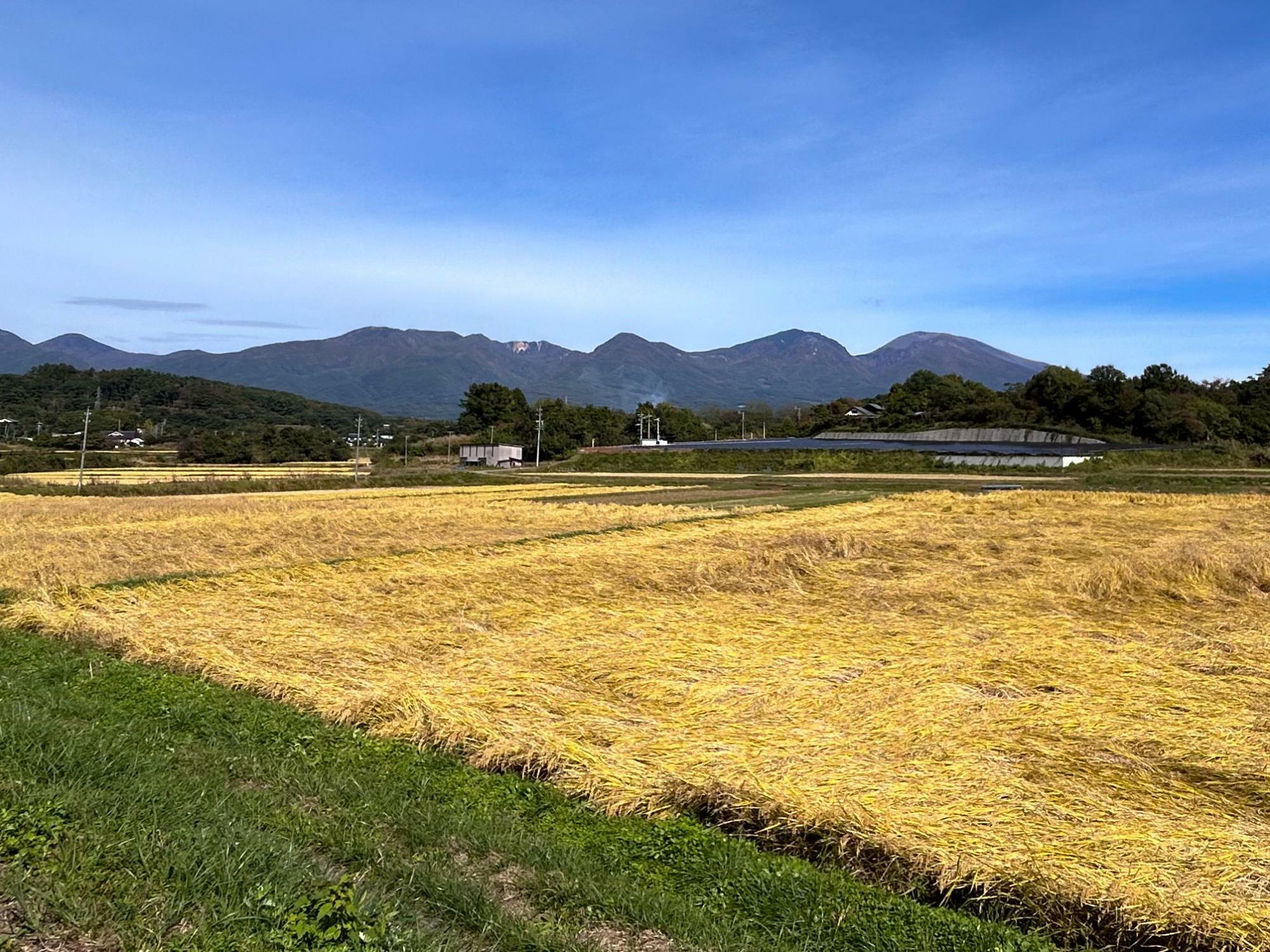 三方ケ峰から浅間山のスカイライン