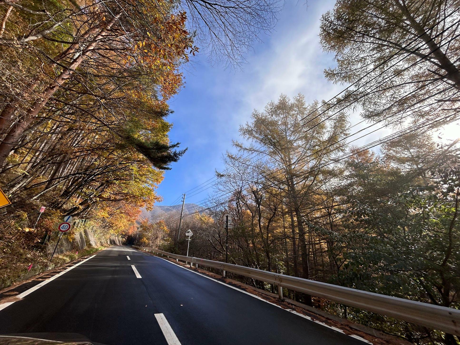 紅葉のトンネル