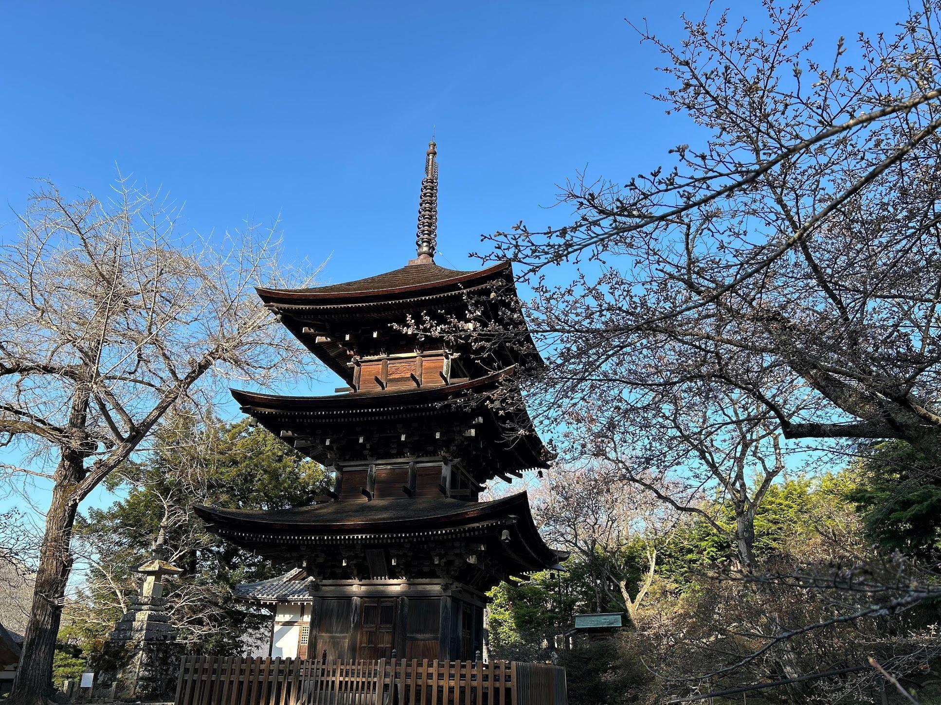 前山寺　未完成の塔