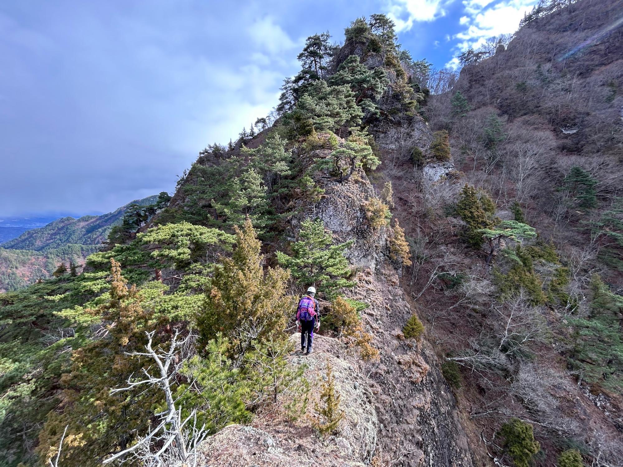 低山 登山 上田市】低山ハイクがアツい!注目エリアの信州上田で人気急上昇の東山へ(もりのりこ) - エキスパート - Yahoo!ニュース