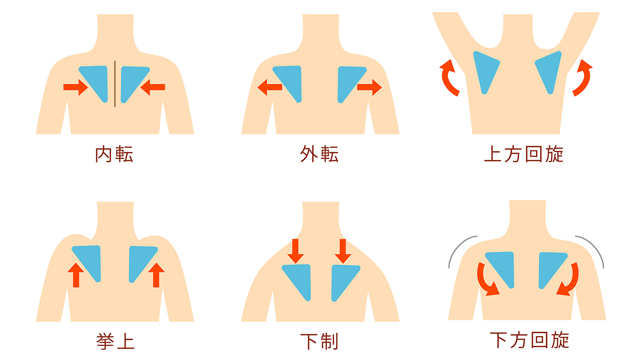 6種類の動き