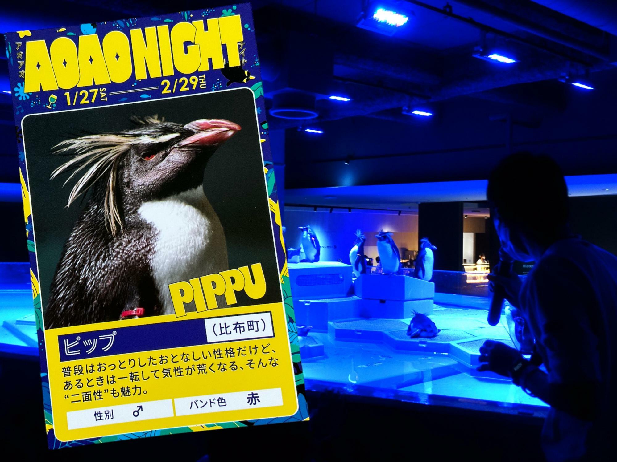ペンギントーク参加者限定AOAO NIGHT記念イベントカードをいただきました。