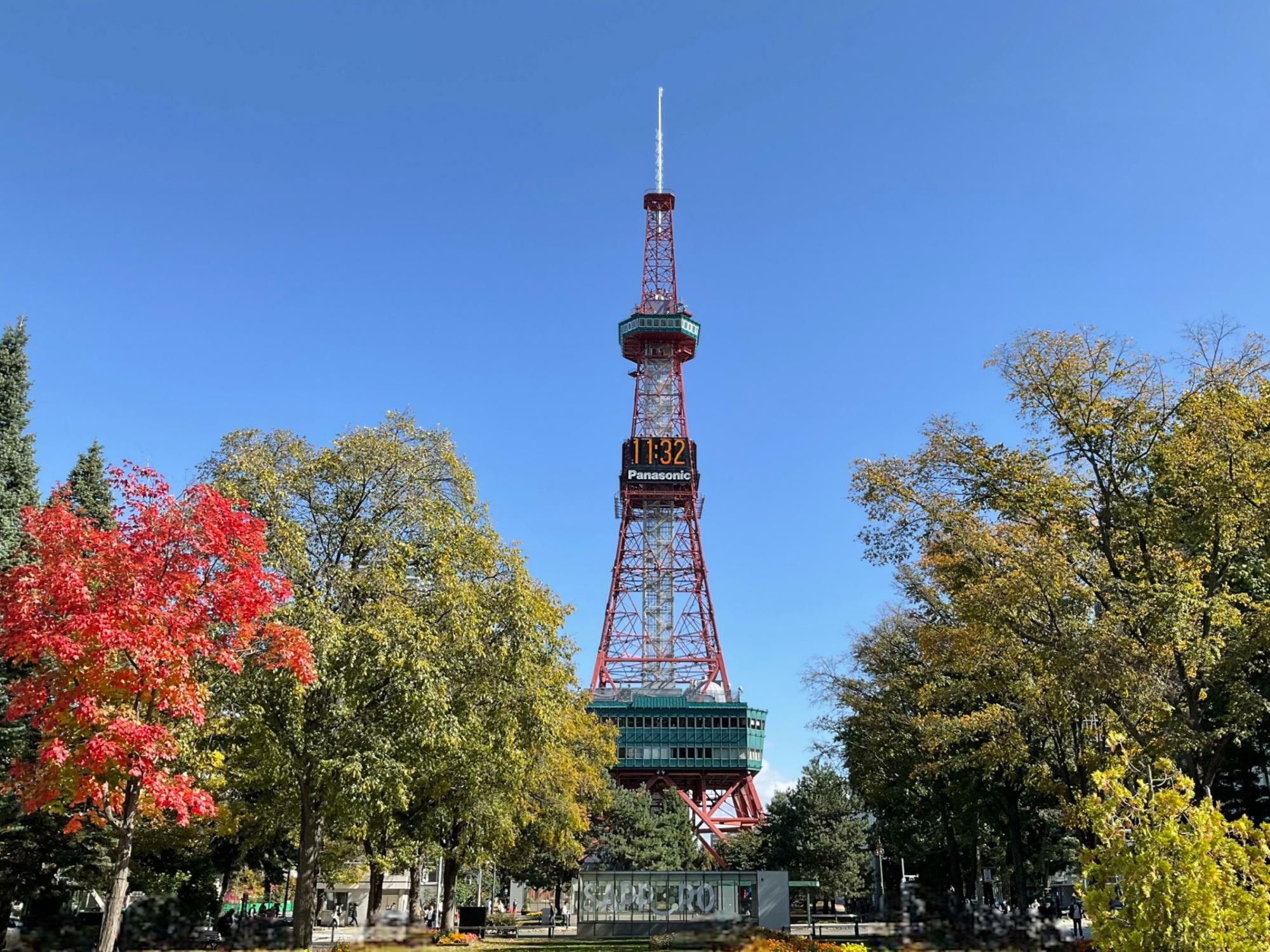 大通公園の紅葉も徐々に進んできていますよ。