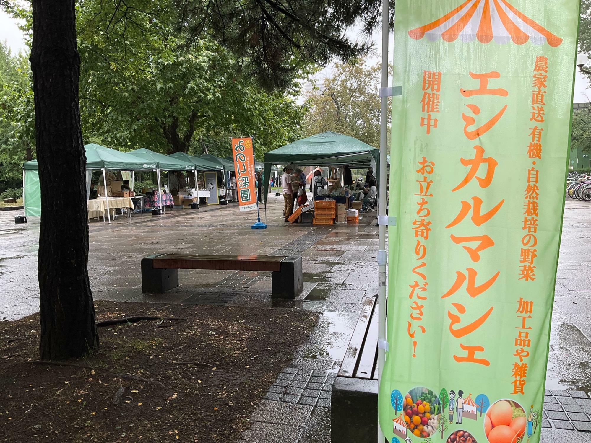 10：30頃の会場。雨もあがりました。