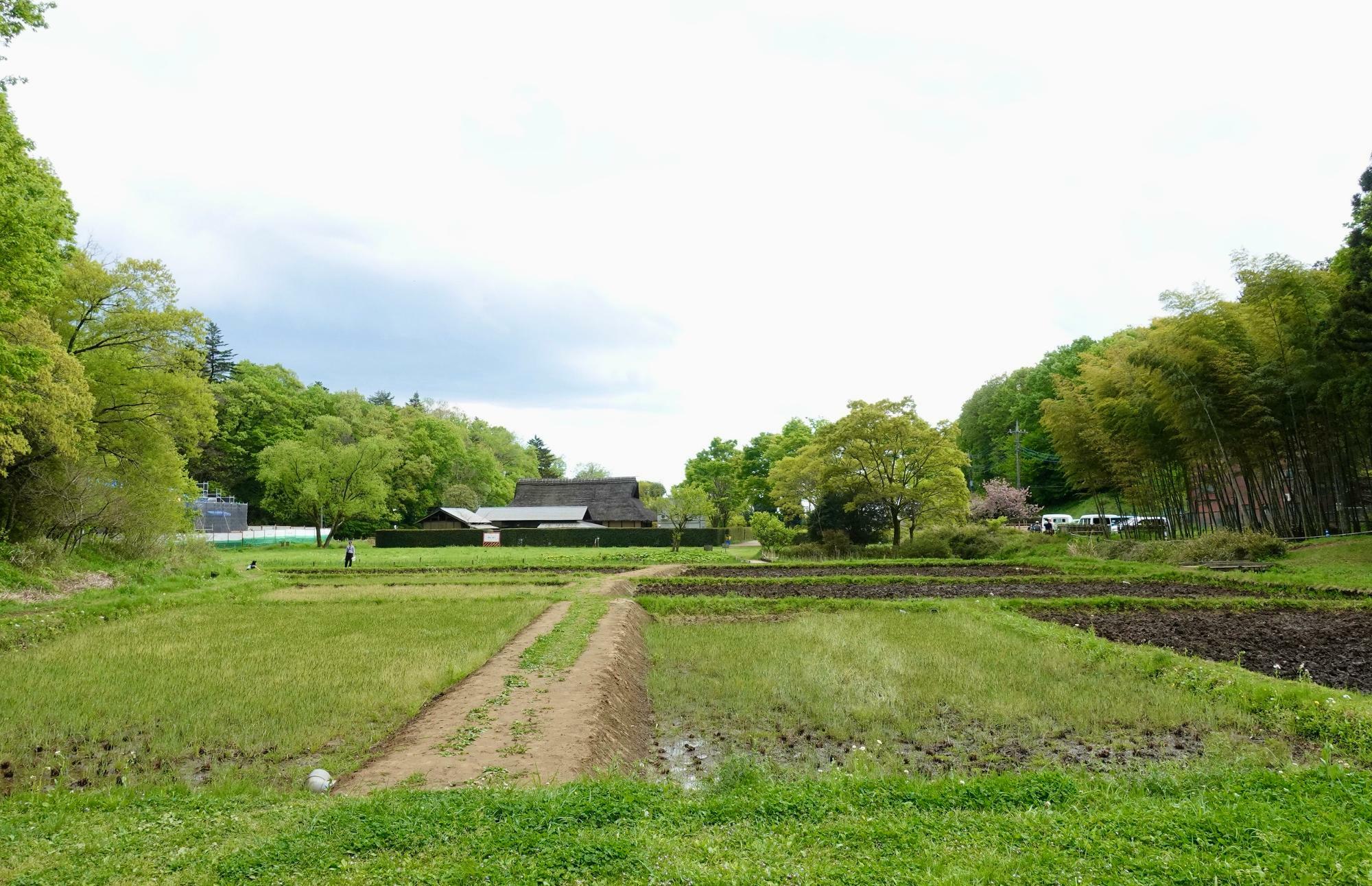 少し歩くとこのような風景に出会えます