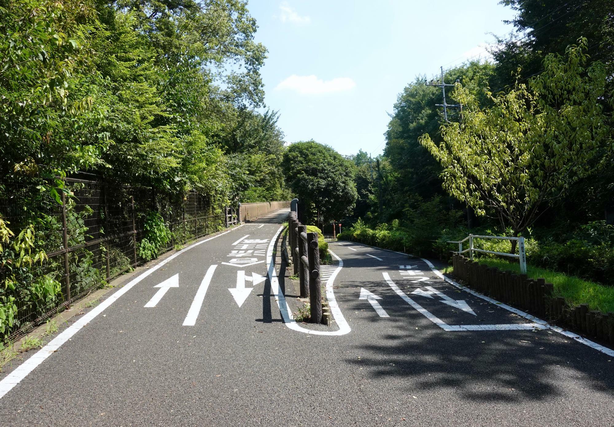 多摩湖周辺の整備された道路はサイクリングやランニングにも最適