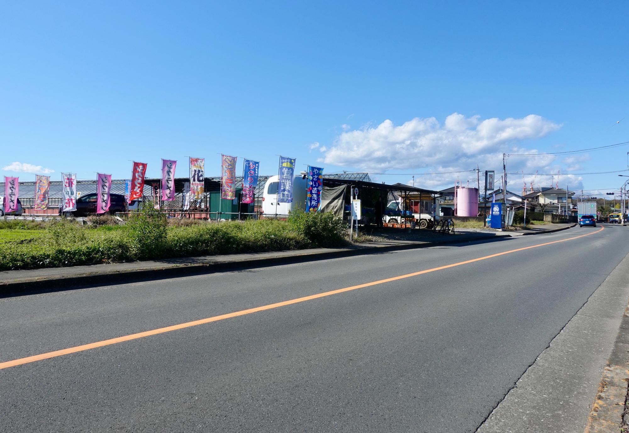 シクラメン街道沿いのシクラメン直売所