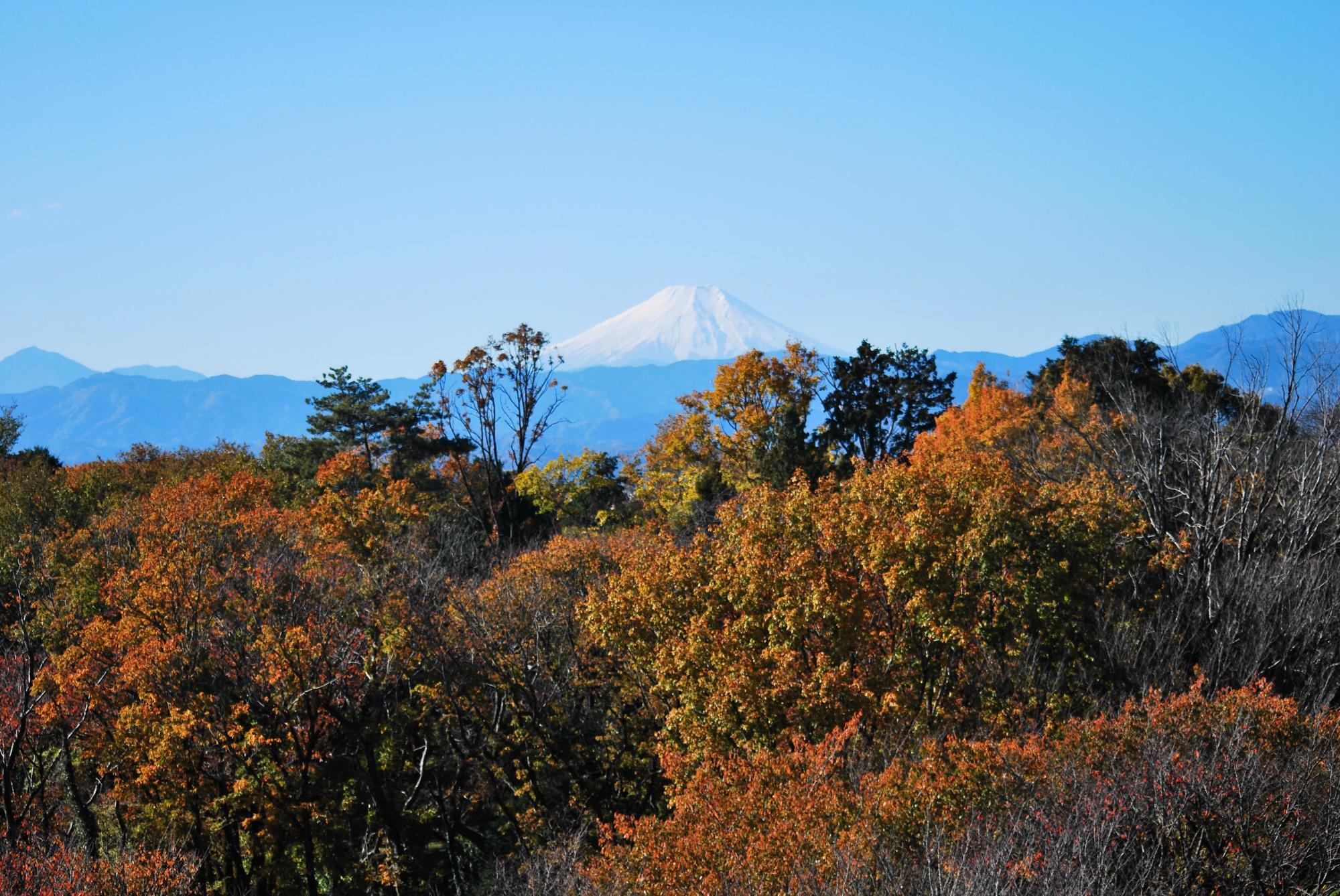 晴れていれば富士山がはっきり見えます