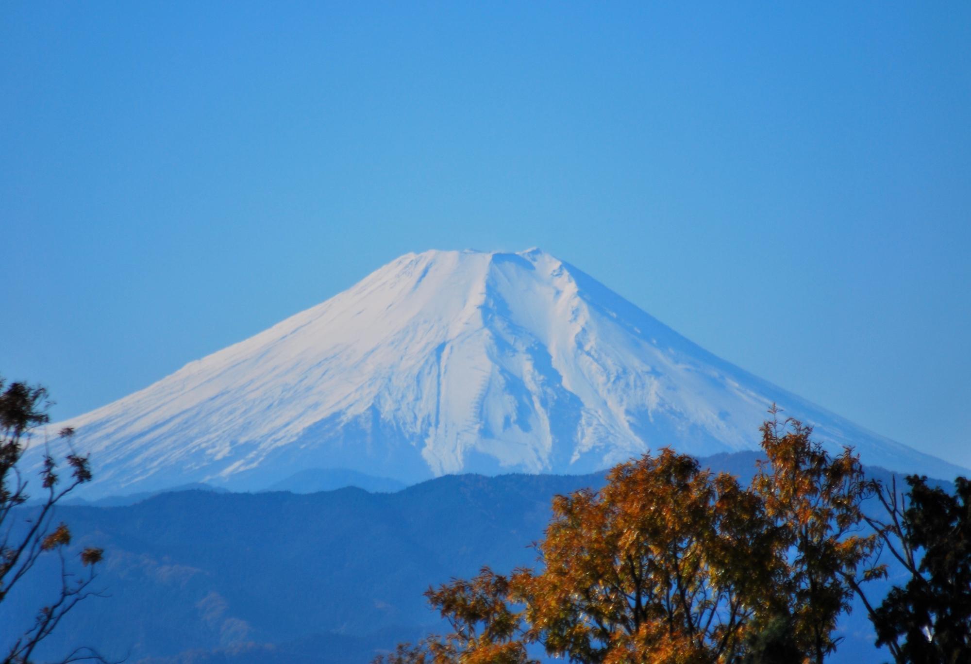 迫力の富士山