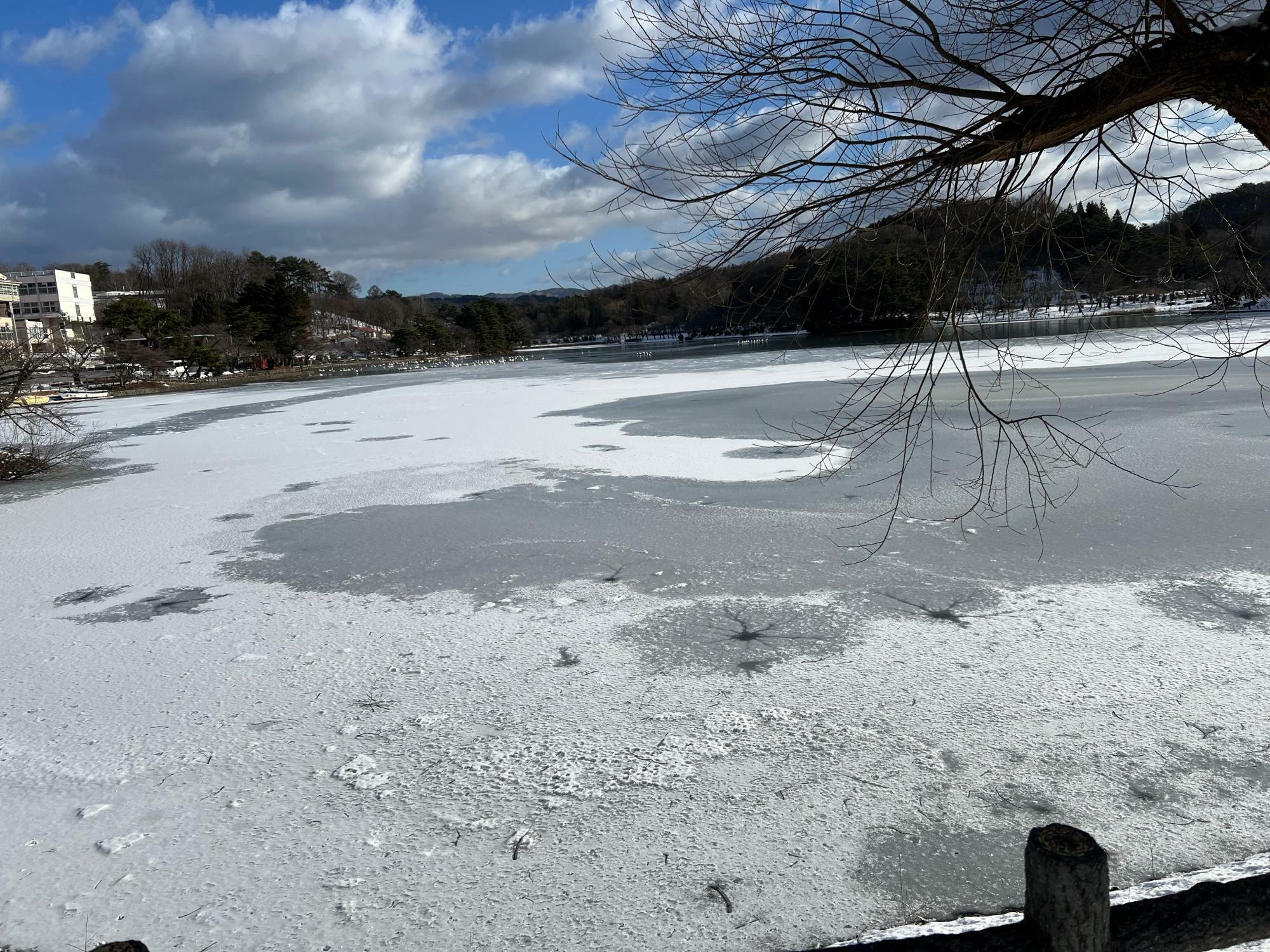 凍っている池も趣深いですね