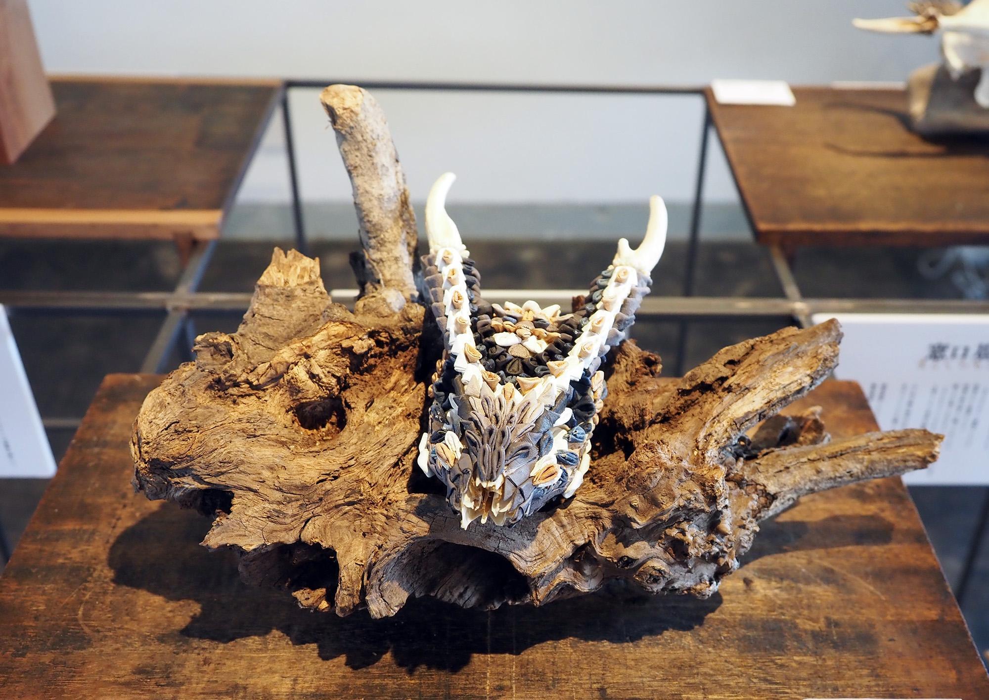 ジビエ　スカルと毛皮　ハクビシン① 頭骨標本　　食猟師謹製 ジビエ スカルと毛皮 ハクビシン① 頭骨標本 食猟師謹製