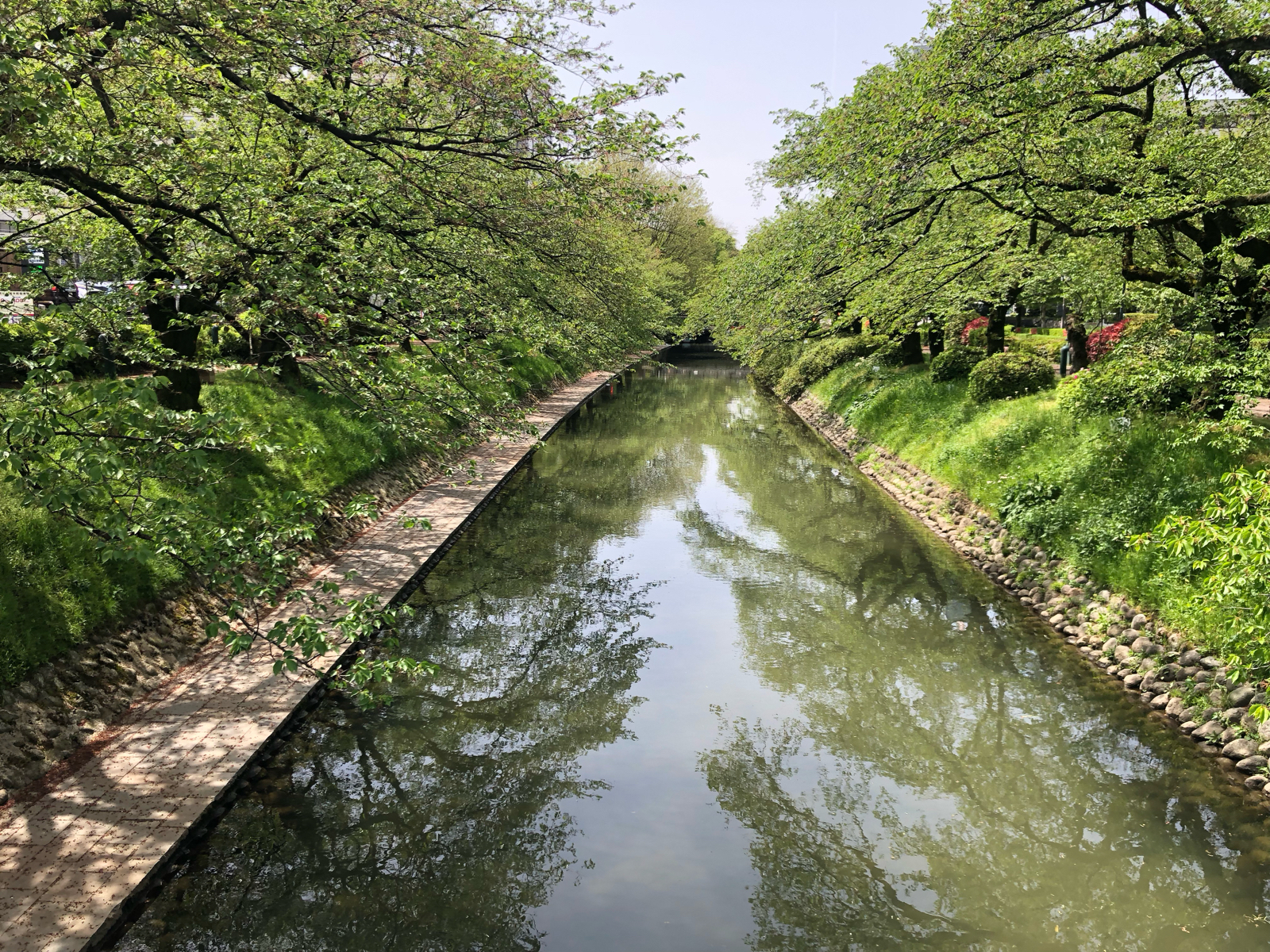 夏が待ち遠しいですね（夏フェス的な意味で）