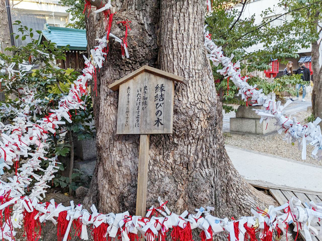三輪神社　縁結びの木
