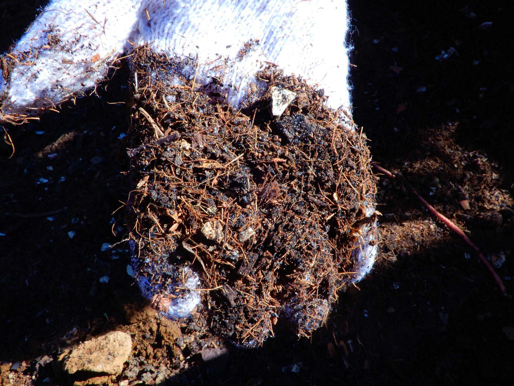 生ごみがこんなたい肥になるなんて。自然の菌や発酵の力の素晴らしさを感じました