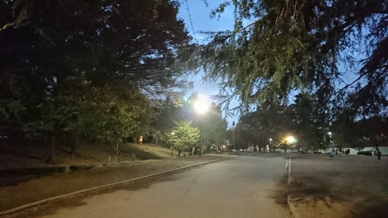 イルミネーションに照らされたら、夜のお散歩もムードがありそう。