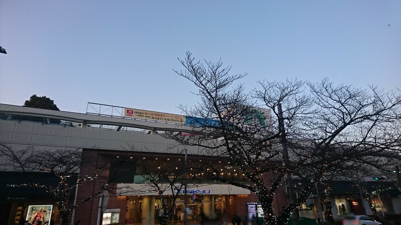 「東急百貨店　たまプラーザ店」イルミネーションが点灯している桜の木ですが、桜の花のつぼみも膨らみつつあります。春はもうすぐです。