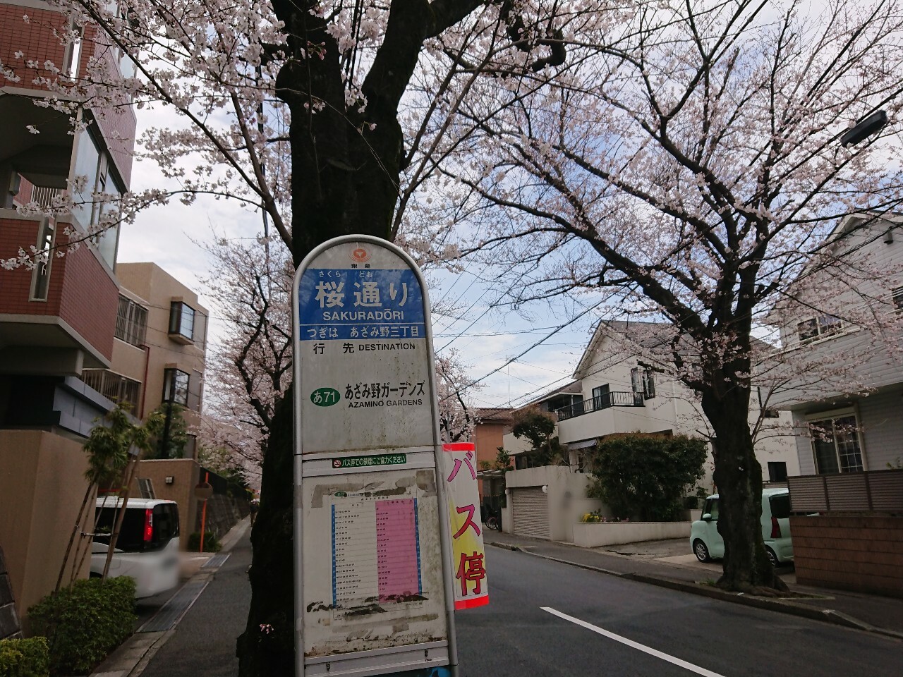 あざみ野のバス停「桜通り」です。
