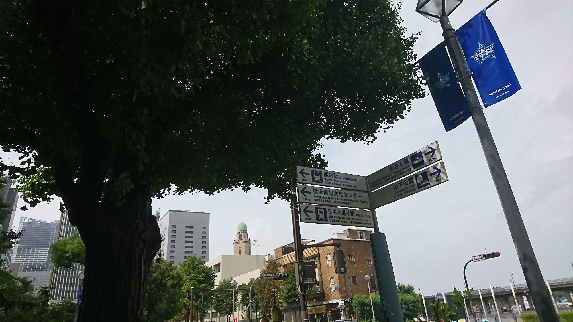 「日本大通り」写真中央に「クイーン」と呼ばれる「横浜税関」が小さく見えます。