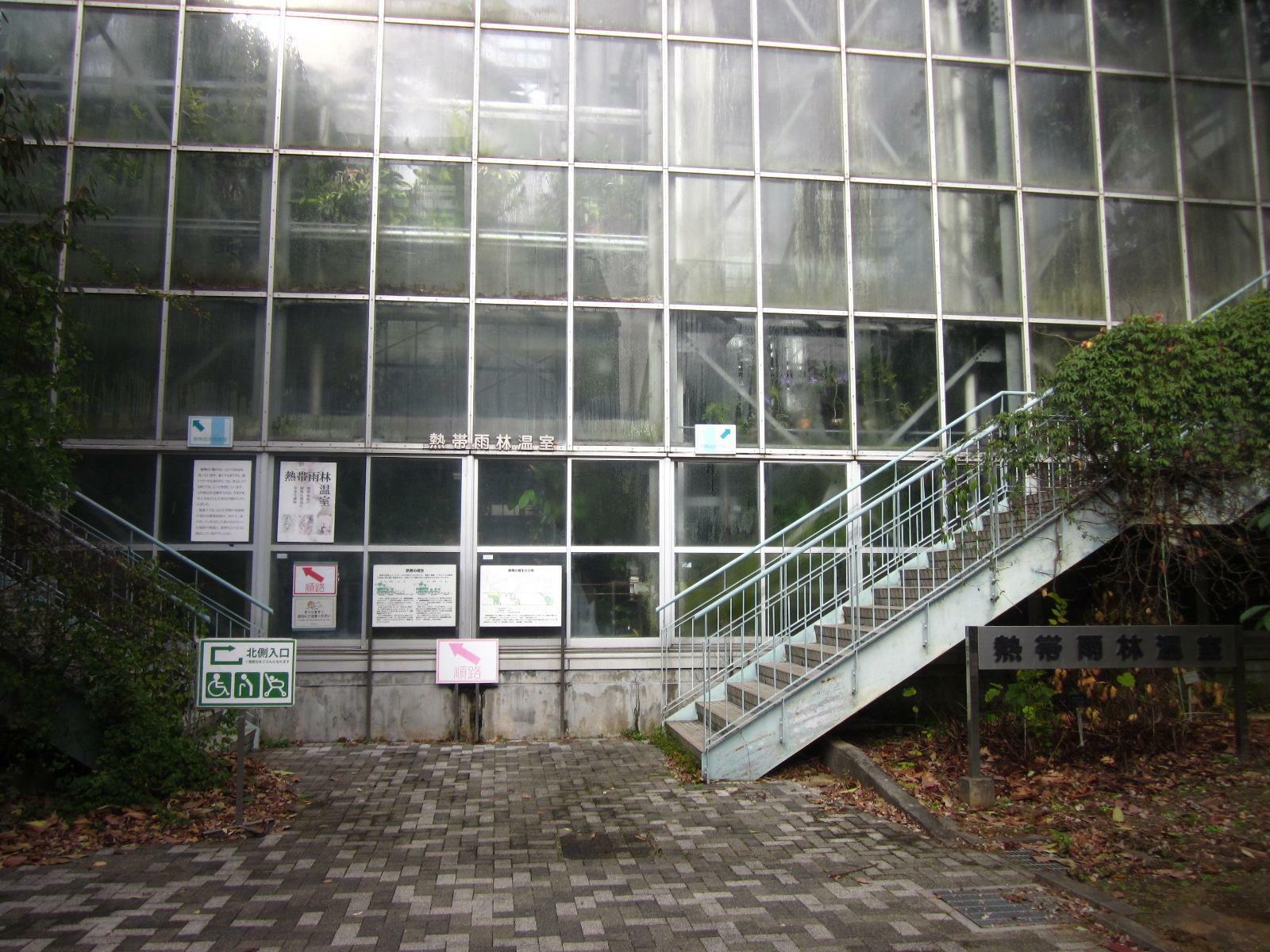 筑波実験植物園の熱帯雨林温室