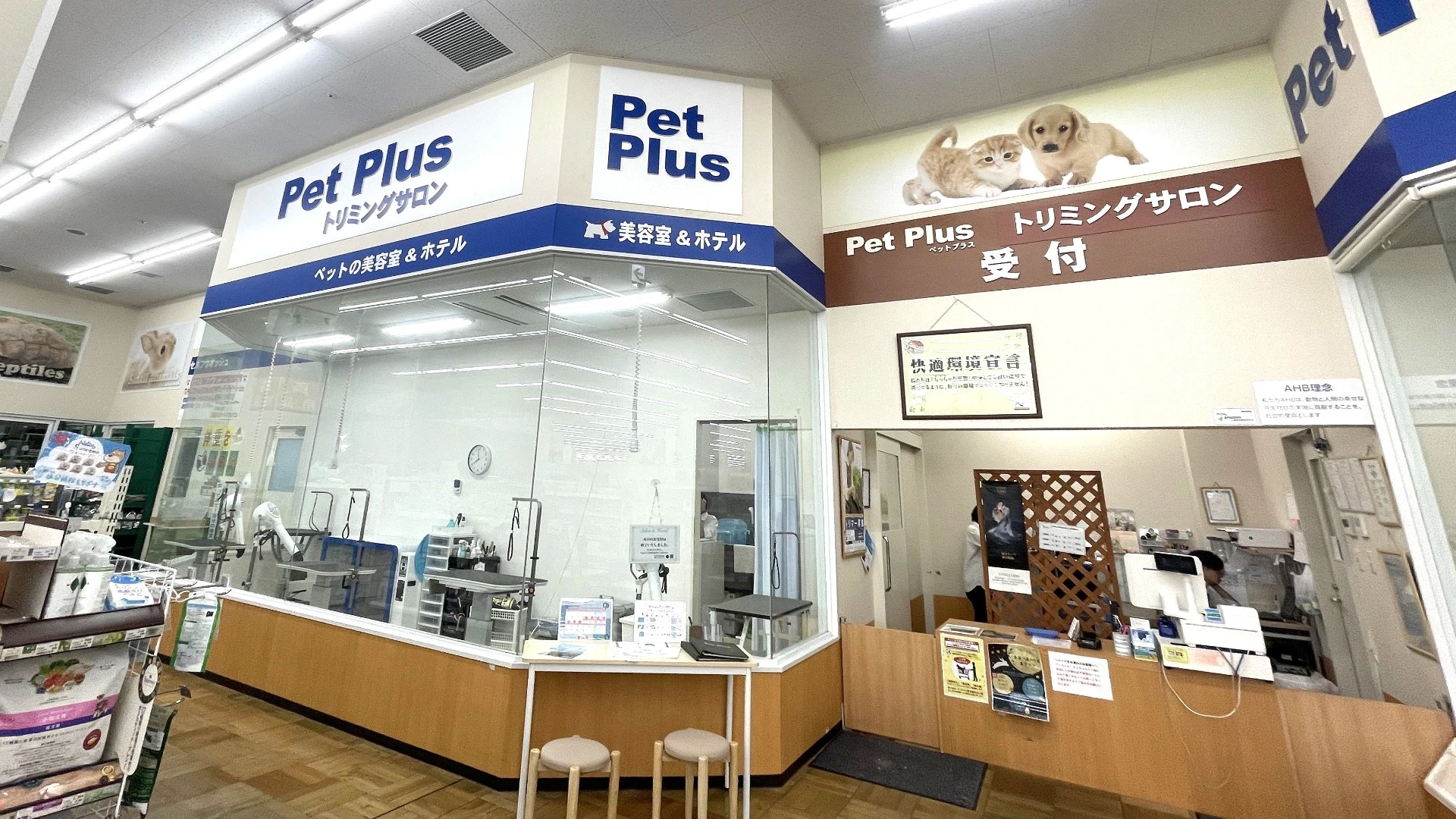 【東大阪市】まさかの閉店。ニトリモールのペットショップ「Pet Plus」が閉店します。（なかしまあすか） - エキスパート - Yahoo!ニュース