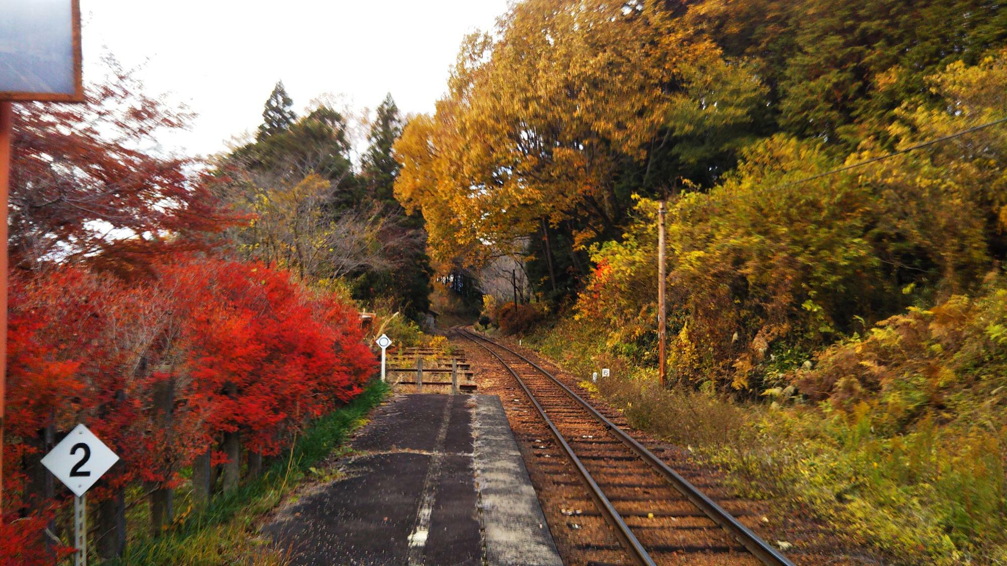 こちらは恵那駅側。紅葉がきれいですね