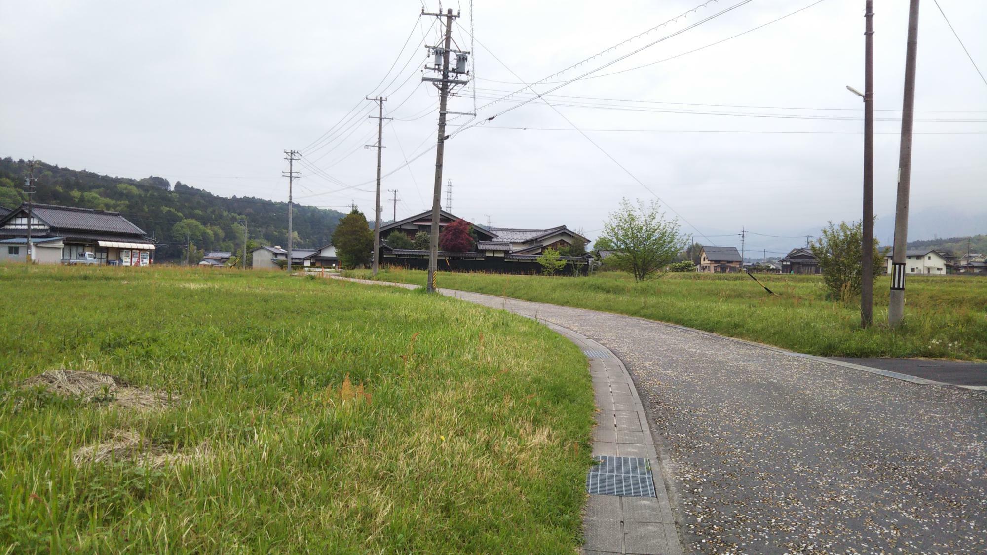 変化の激しい坂本地区ですが、こうした田舎道の風景は残っててほしいですね