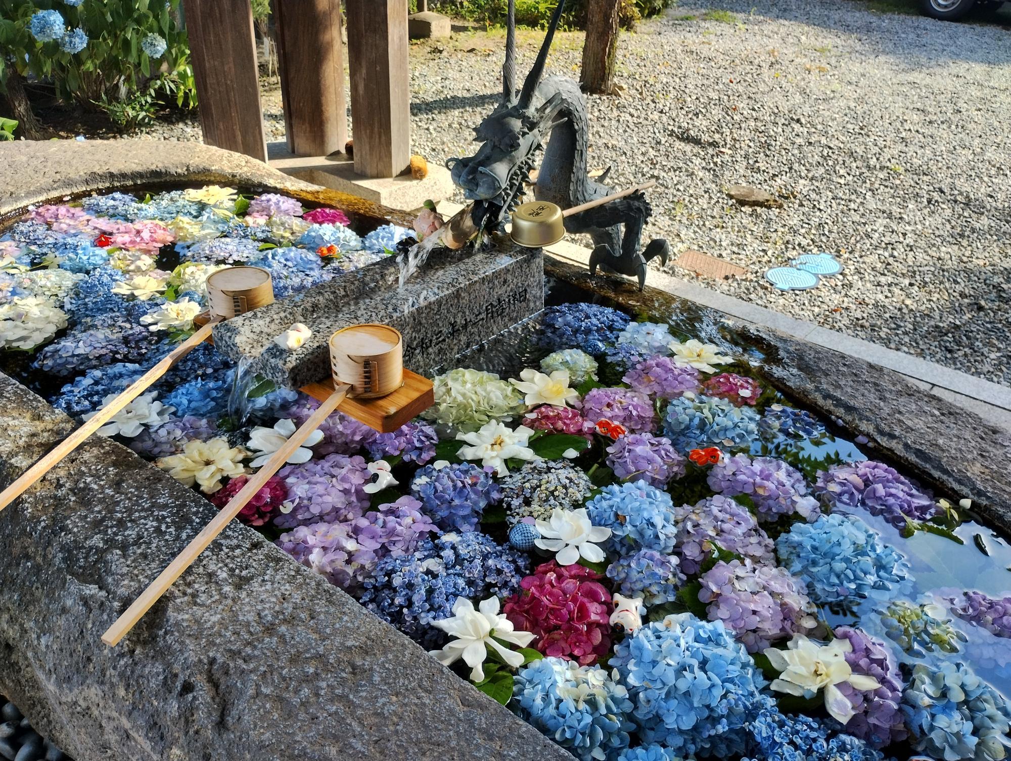 いつもここにはたくさんのお花が！竜も気持ちよさそうです。