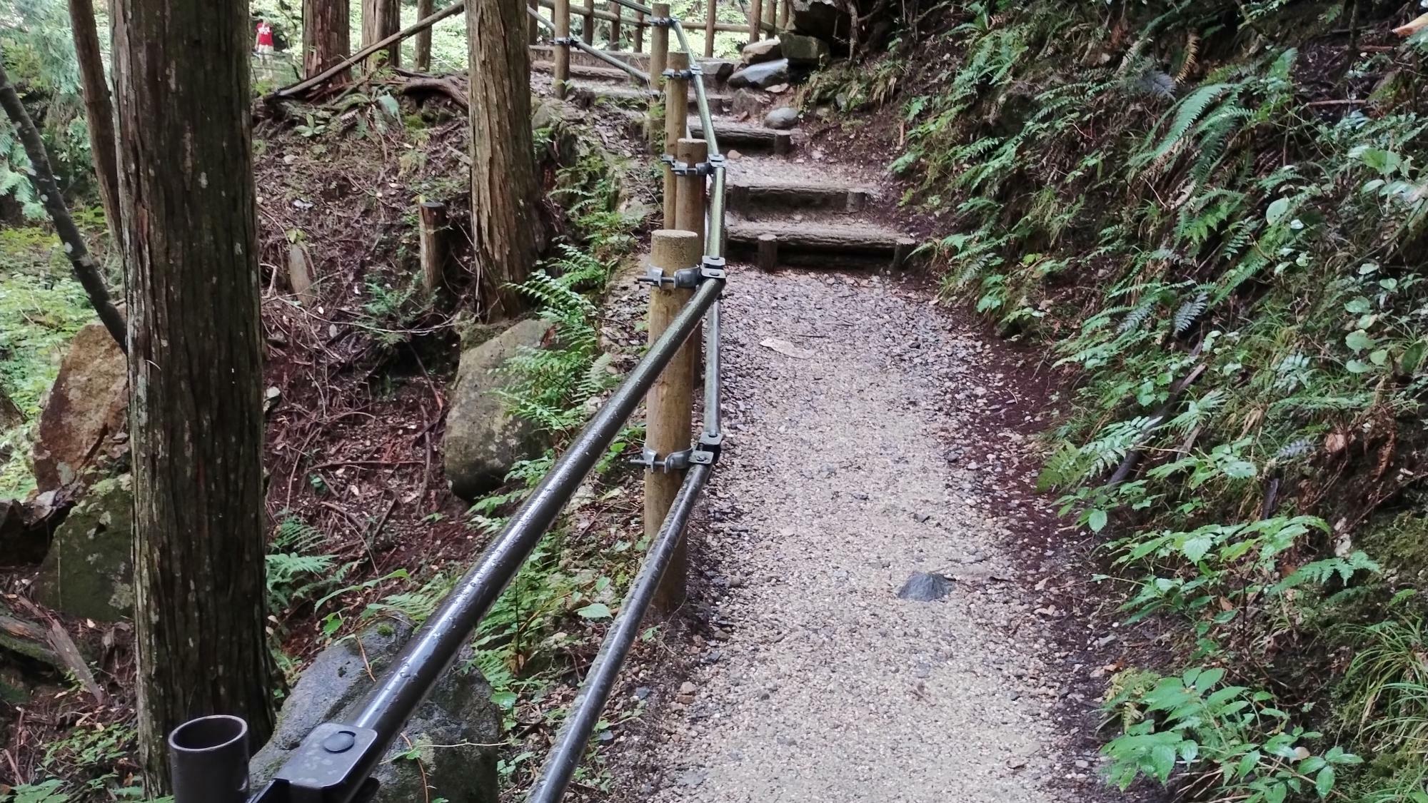 手すりはしっかりつかまって、足元も注意しましょう