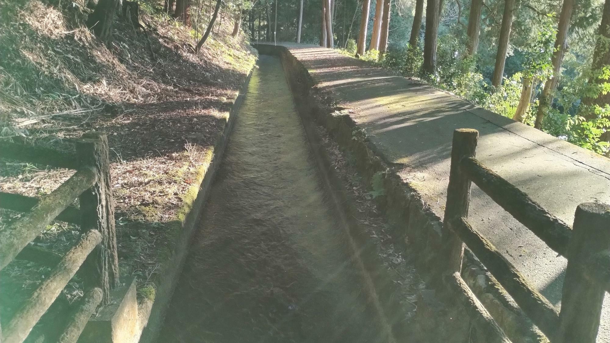 第一用水が通ってます。いつ見ても水がきれい！