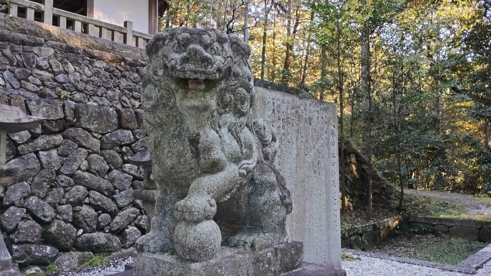 表情も生き生きとしてキマッてますね