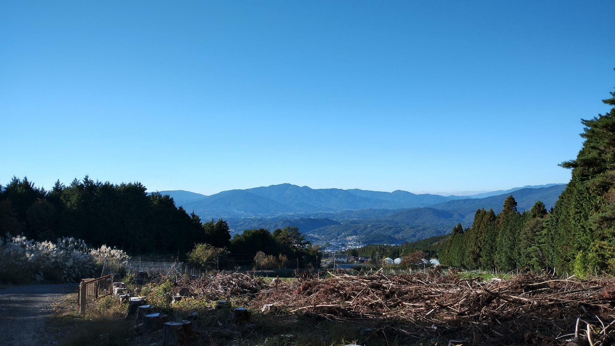 さらに上がると少し開けてきてこの風景