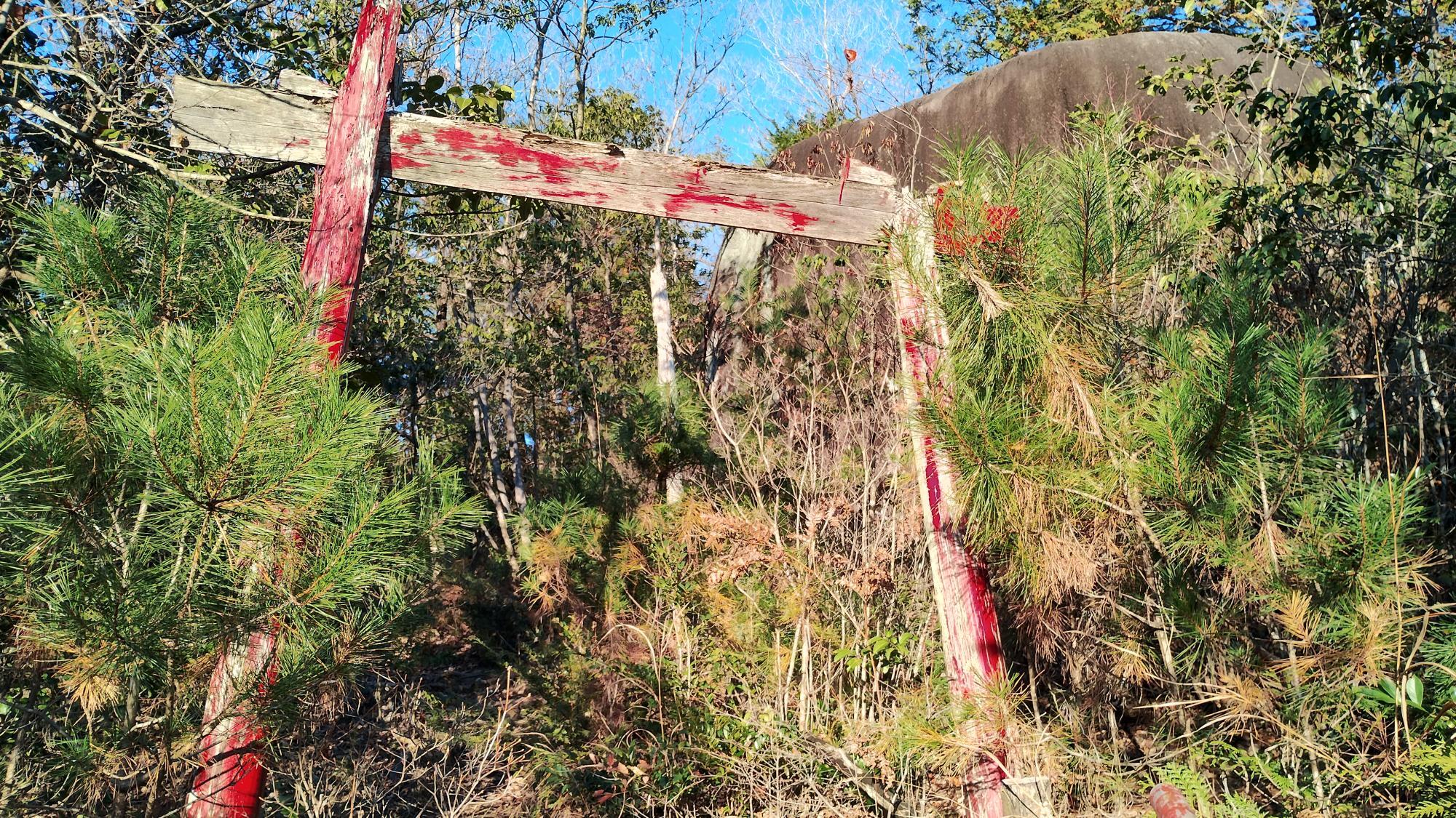 ここからはさらなる山道が！かなり険しいので無理して登らないように！