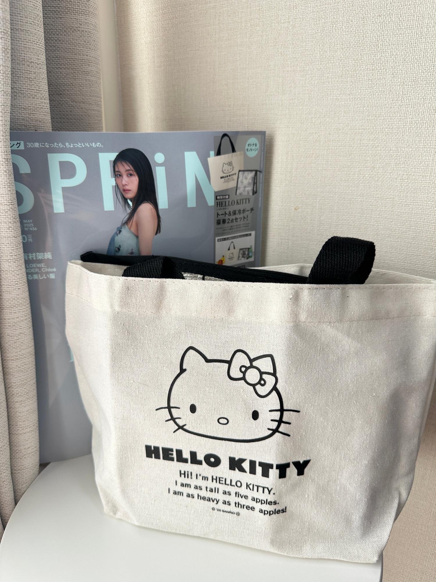 雑誌付録】ハローキティ・トート&保冷ポーチ豪華2点セット 雑誌付録】ハローキティ・トート&保冷ポーチ豪華2点セット