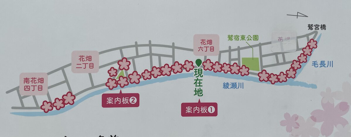 河津桜並木のマップ