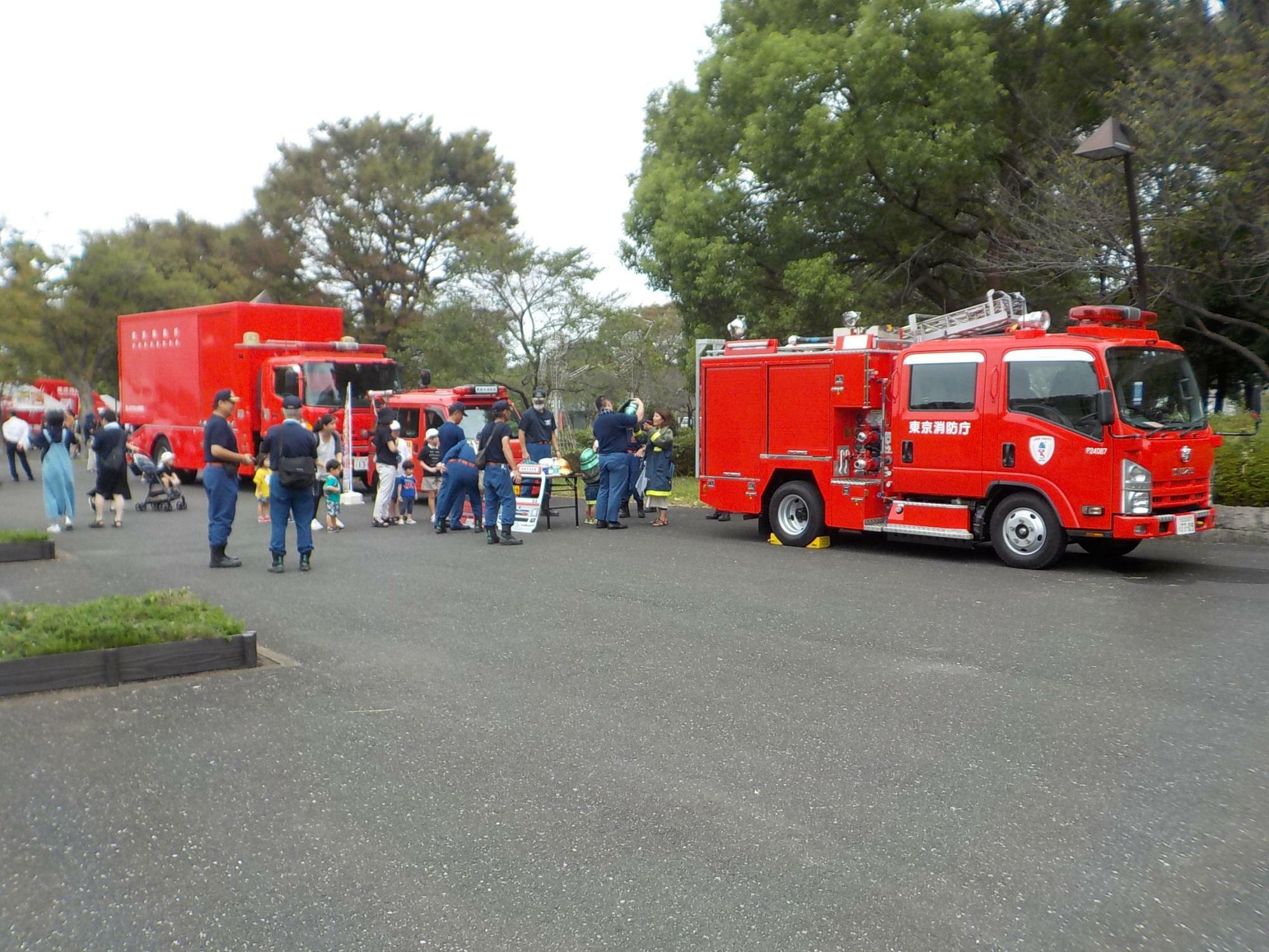 過去の開催風景 写真提供：（公財）東京都公園協会