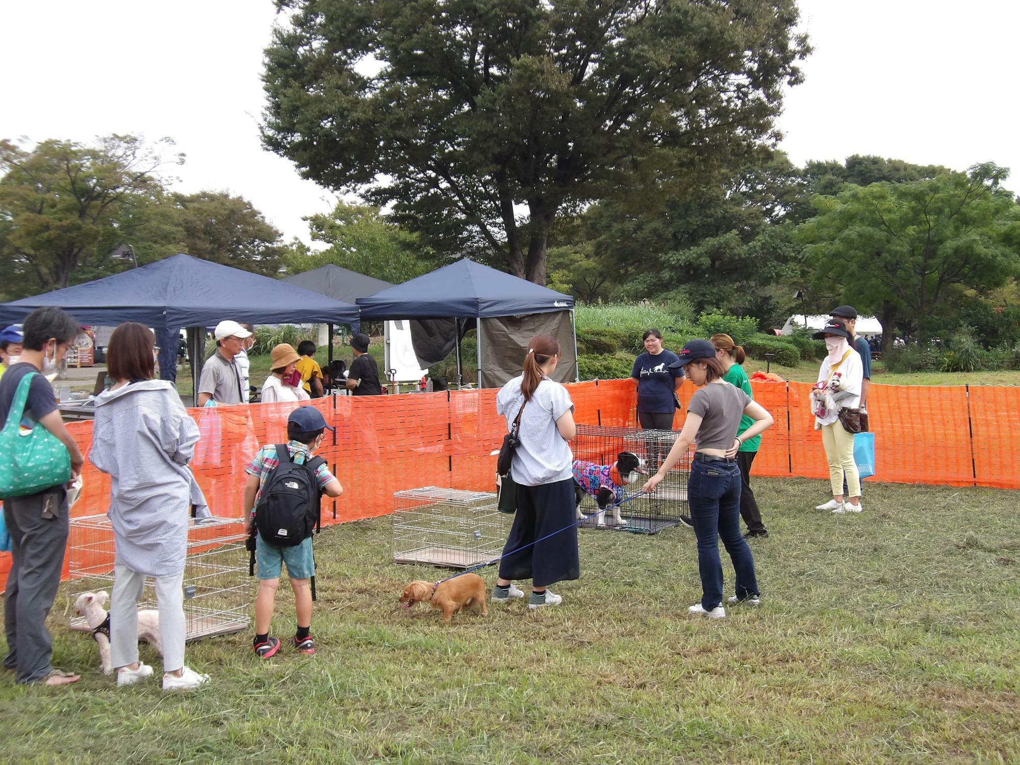 過去の開催風景 写真提供：（公財）東京都公園協会