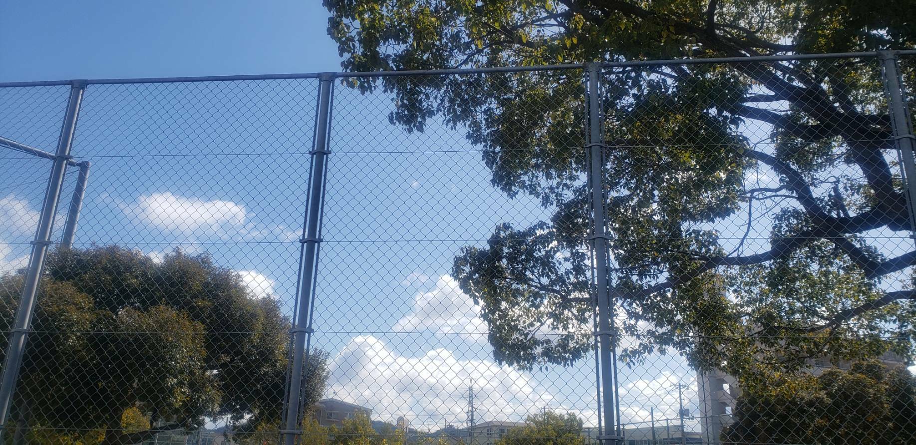 公園内は高いフェンスに囲われている。